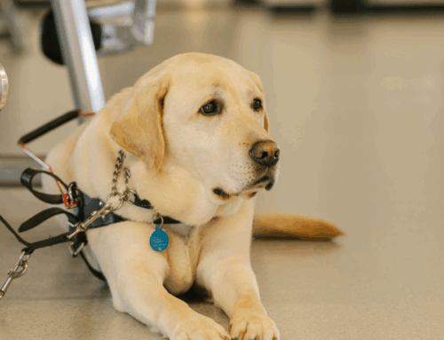 A Place to Be Seen: Stephen’s YMCA Connection